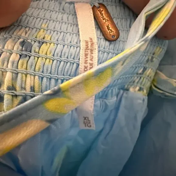 NWT Free People Laura Printed Midi Dress in Sky Combo - Picture 5 of 7